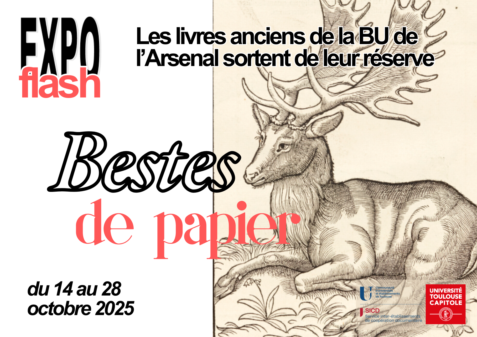 Affiche de l'expo flash