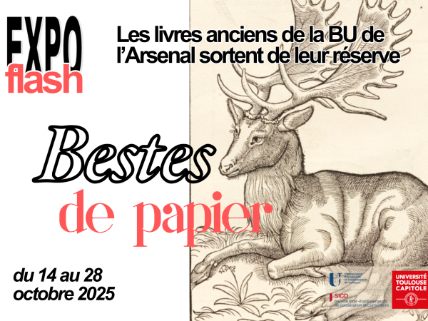 A la BU de l'Arsenal, les « bestes de papier » sortent de leur réserve