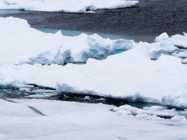 BU Sciences de l'UT : Photographies de la glaciologue Lydie Lescarmontier