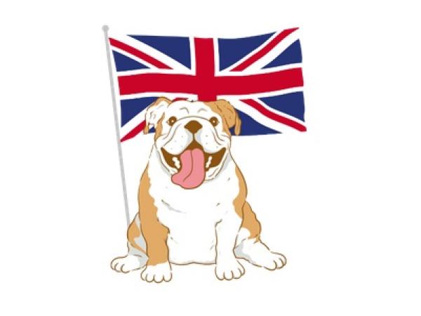 BIB'INSA : osez parler en anglais avec les ateliers !