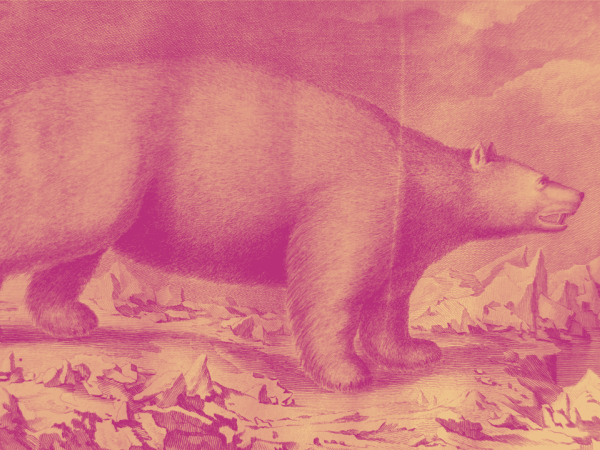 Exposition virtuelle : Bestes de papier