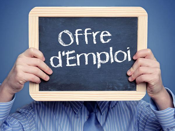 Le SICD recrute son/sa Responsable du Patrimoine Écrit